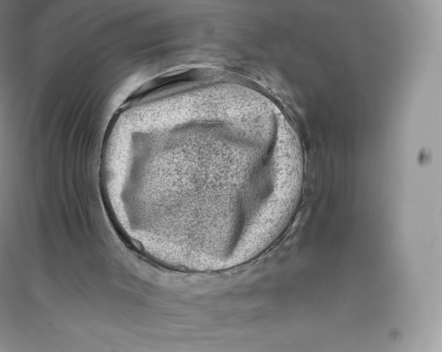 X0000090730003200708171956