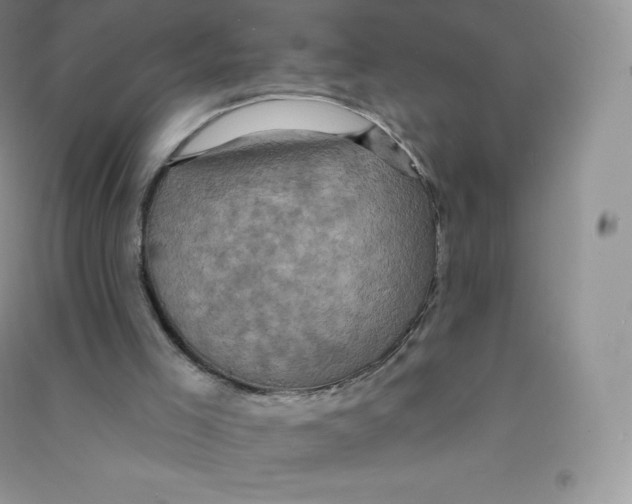 X0000090730005200708171956