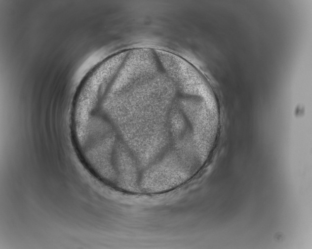 X0000090730007200708171956