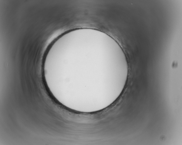 X0000090730008200708171956