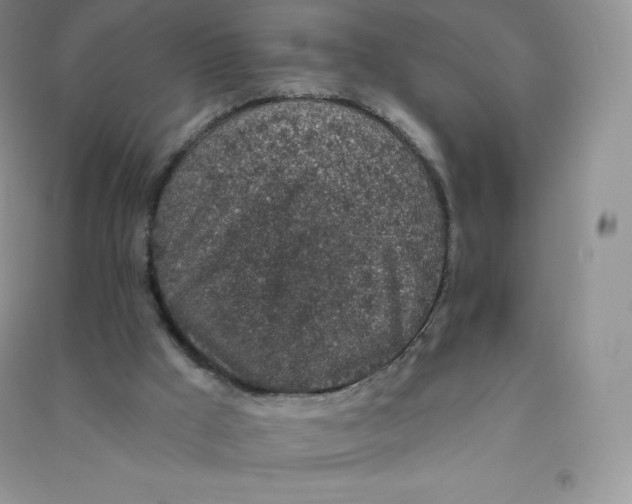 X0000090730009200708171956