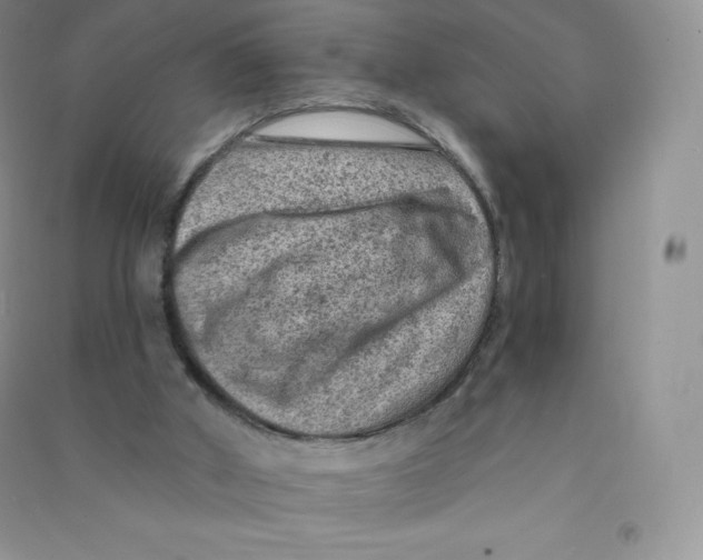 X0000090730010200708171956