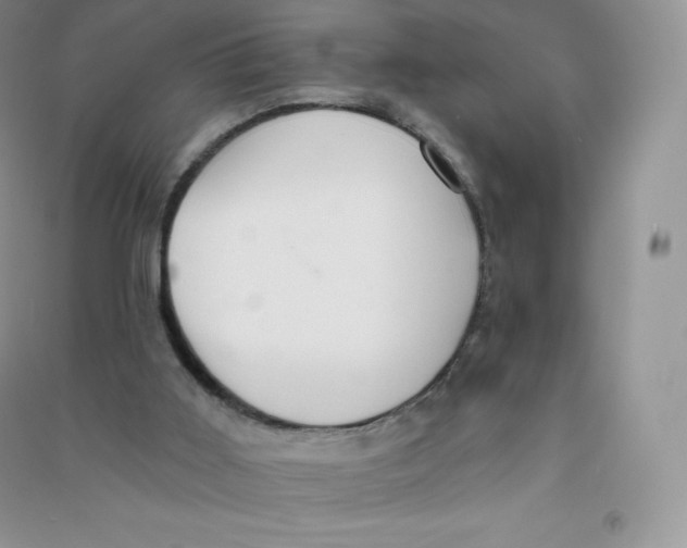 X0000090730011200708171956