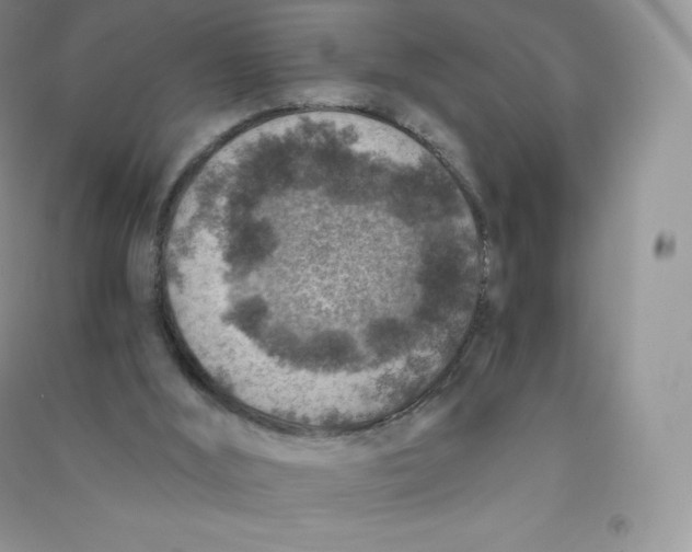 X0000090730012200708171956