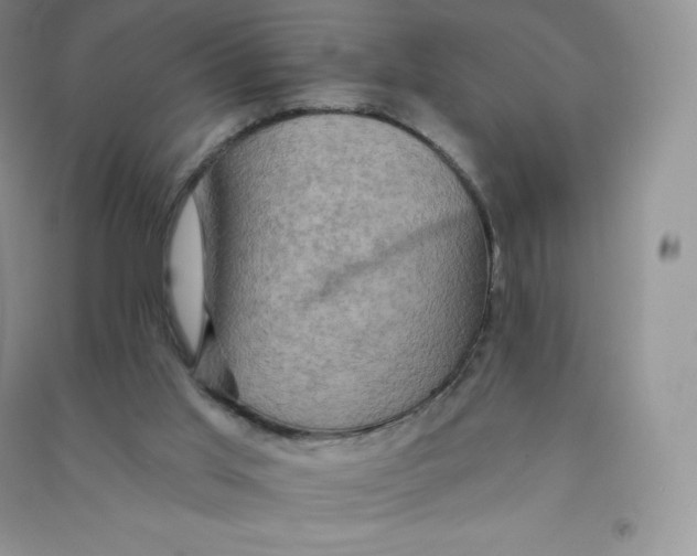 X0000090730013200708171956