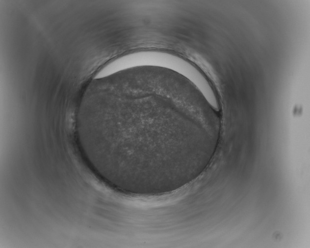 X0000090730017200708171956