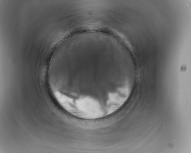 X0000090730018200708171956