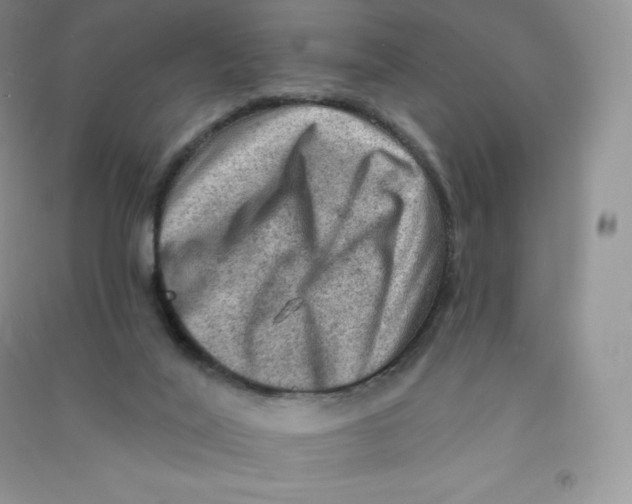 X0000090730020200708171956