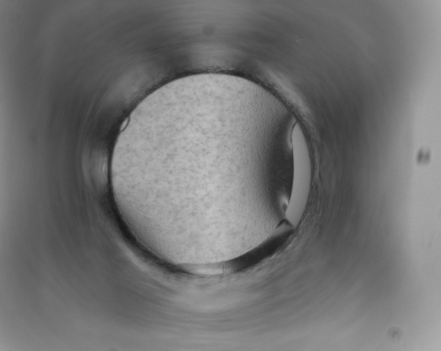 X0000090730021200708171956