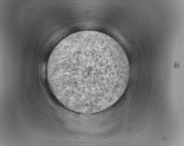 X0000090730022200708171956