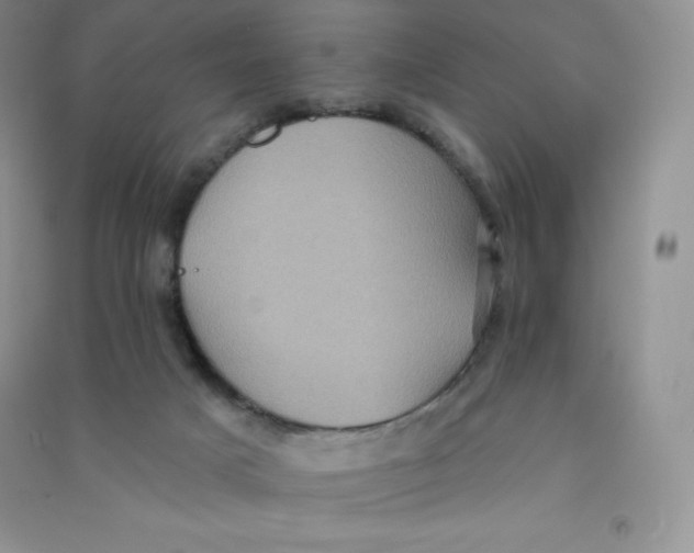 X0000090730025200708171956