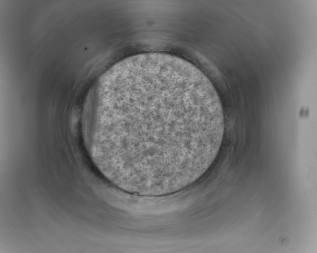 X0000090730026200708171956