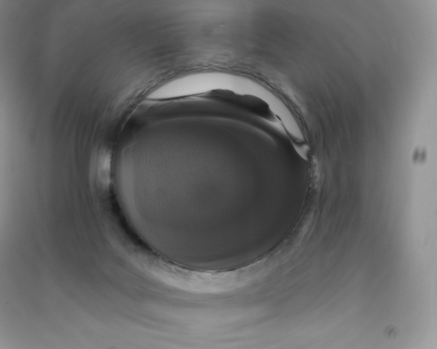 X0000090730027200708171956