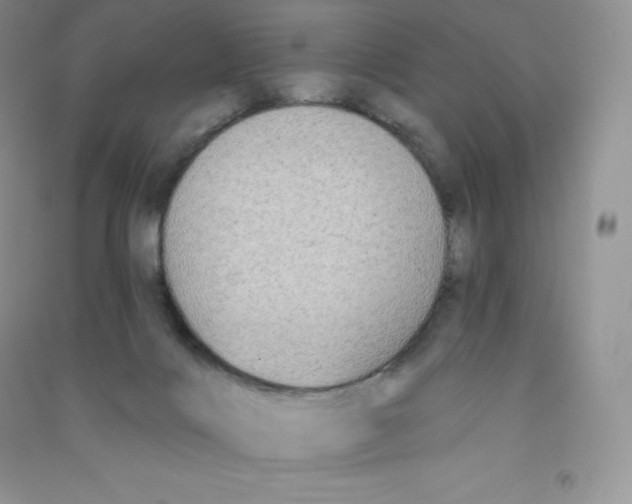 X0000090730028200708171956