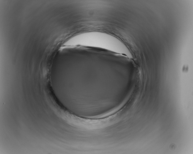 X0000090730031200708171956