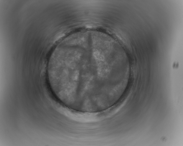 X0000090730032200708171956