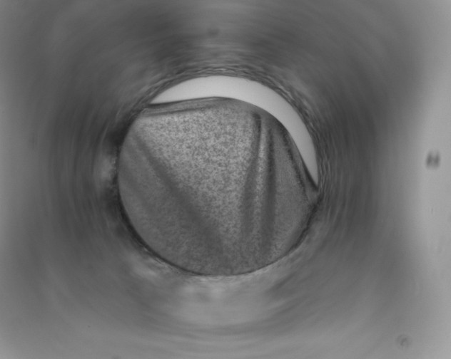 X0000090730033200708171956