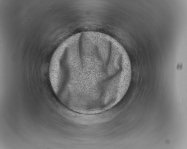 X0000090730034200708171956