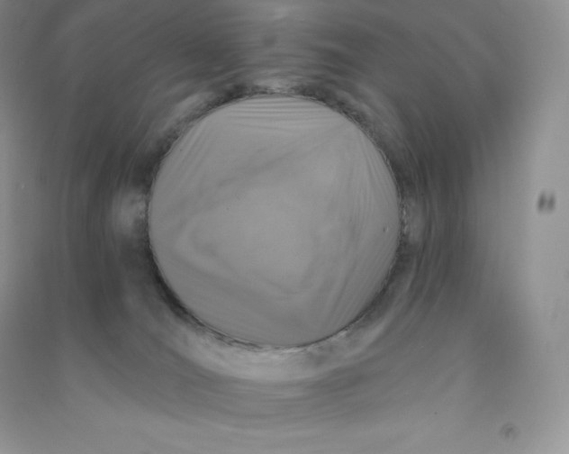 X0000090730036200708171956