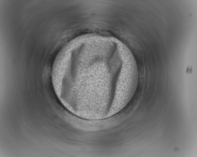 X0000090730038200708171956