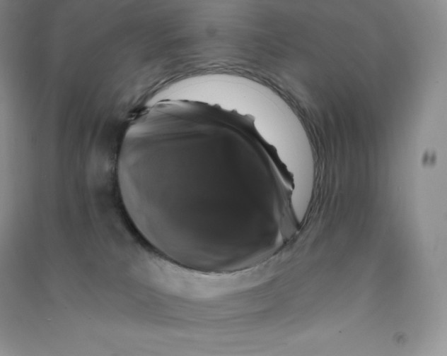 X0000090730039200708171956