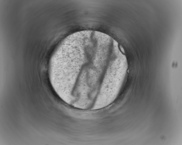 X0000090730040200708171956