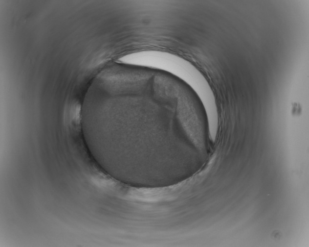 X0000090730041200708171956