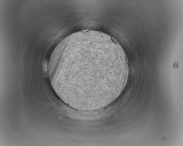 X0000090730042200708171956