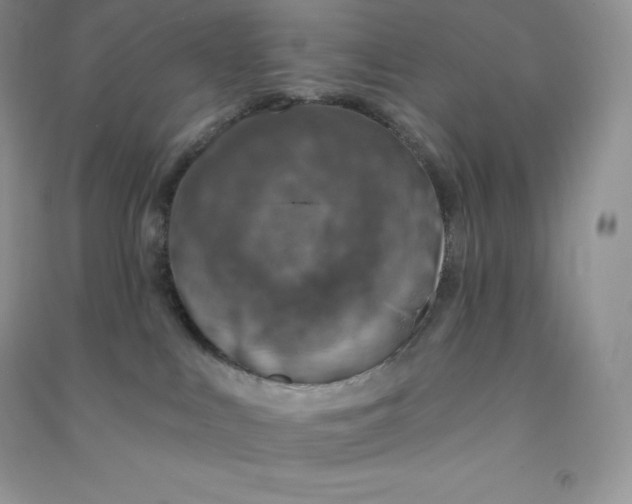 X0000090730043200708171956