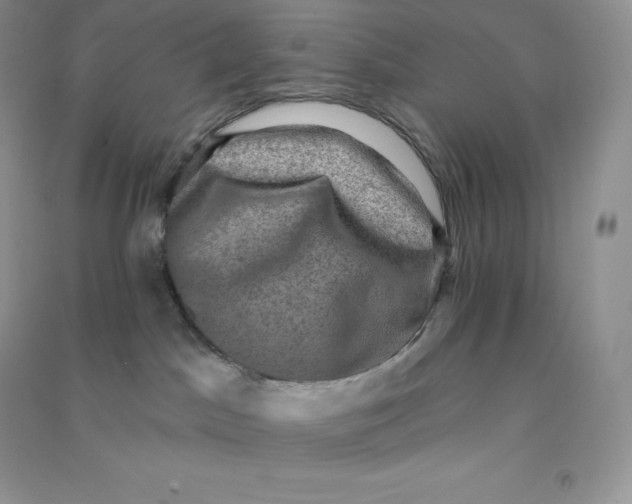 X0000090730045200708171956