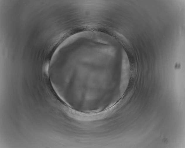 X0000090730047200708171956