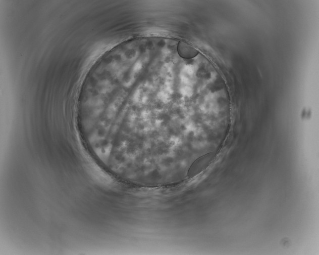 X0000090730049200708171955