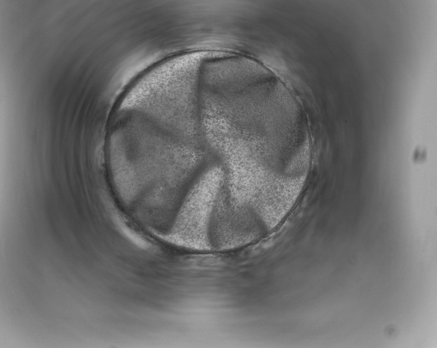 X0000090730050200708171955