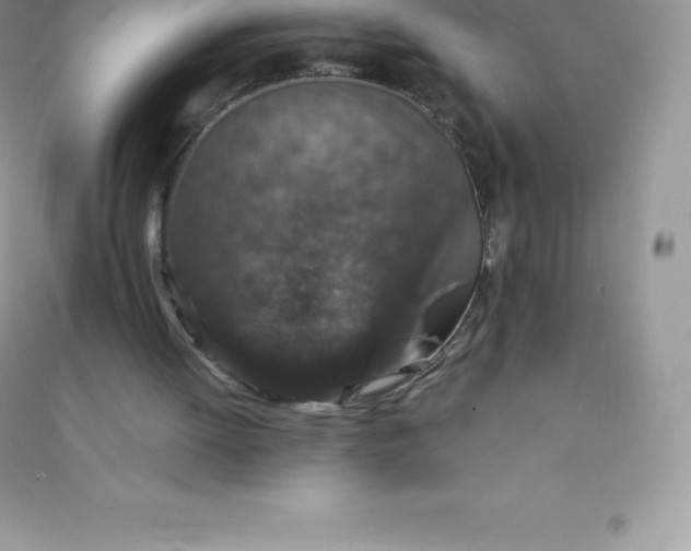 X0000090730052200708171955