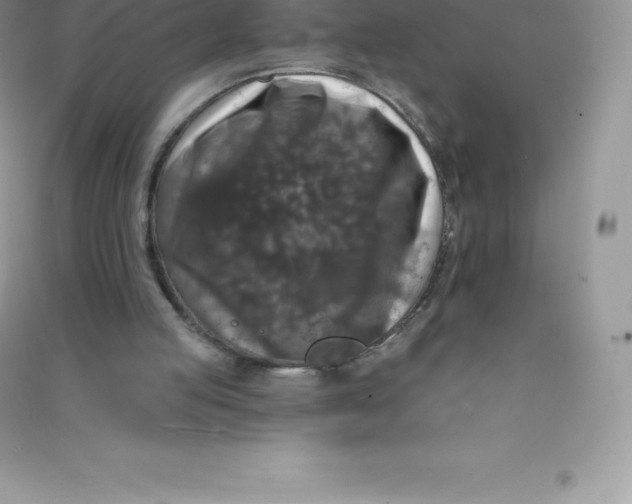 X0000090730053200708171955