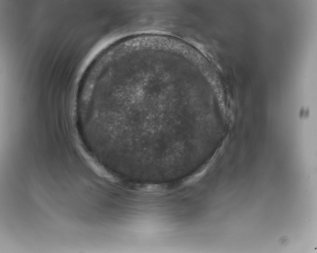 X0000090730056200708171955