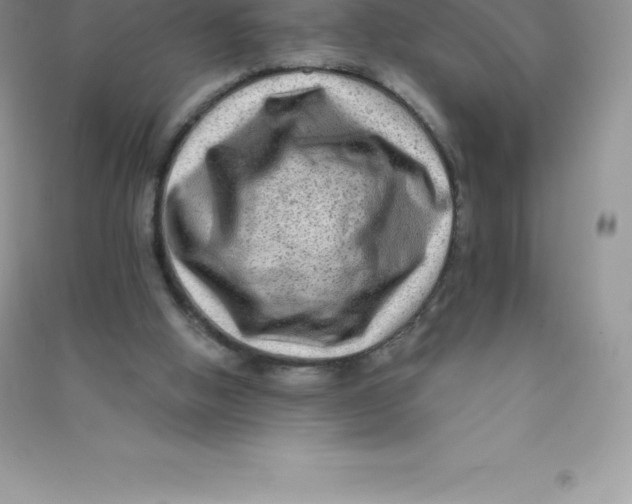 X0000090730058200708171955