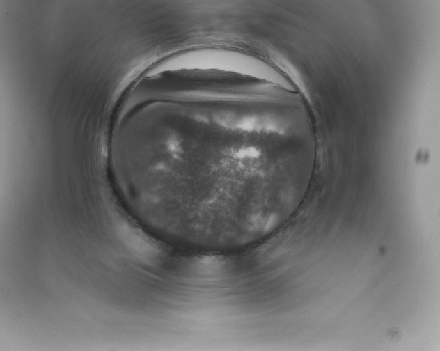 X0000090730059200708171955