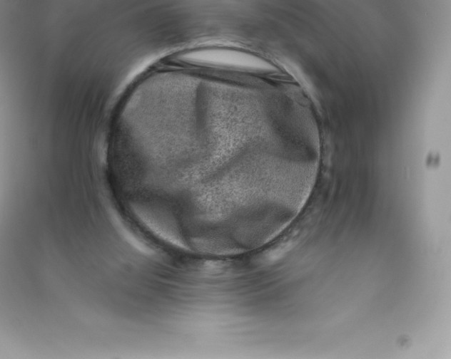 X0000090730060200708171955