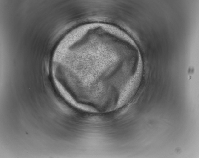 X0000090730062200708171955