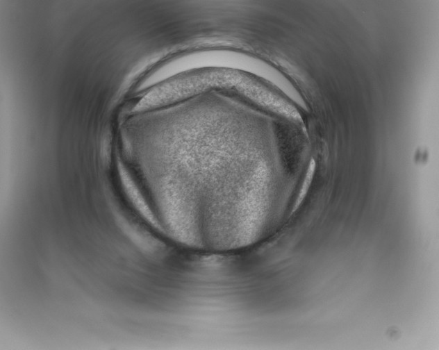 X0000090730064200708171955