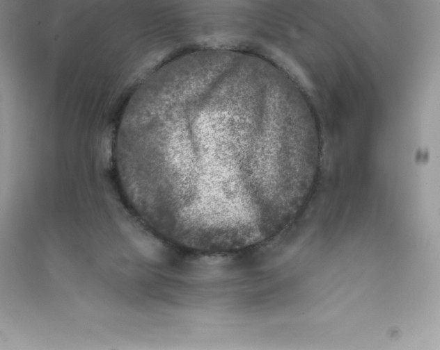 X0000090730065200708171955