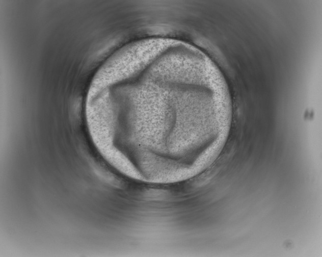 X0000090730066200708171955