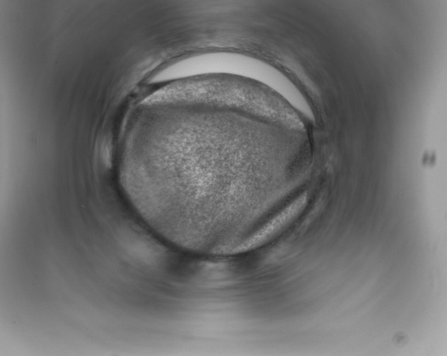 X0000090730068200708171955