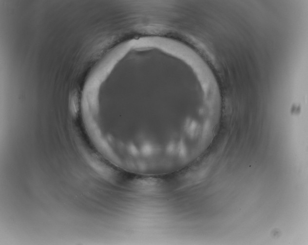 X0000090730069200708171955