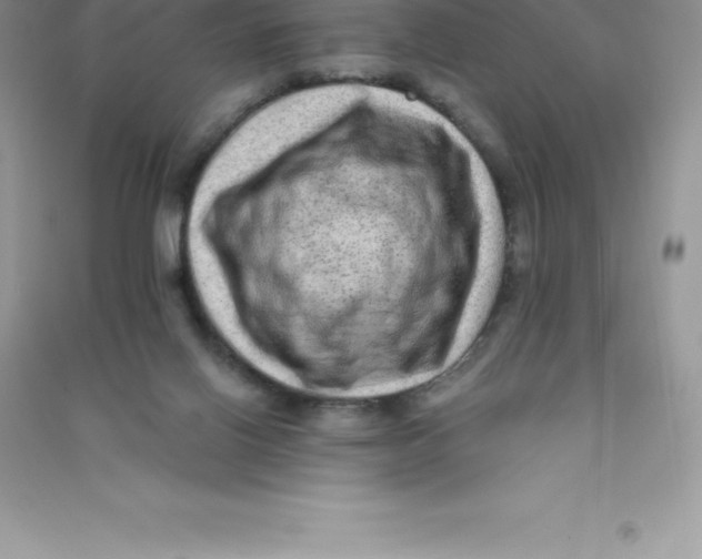 X0000090730070200708171955