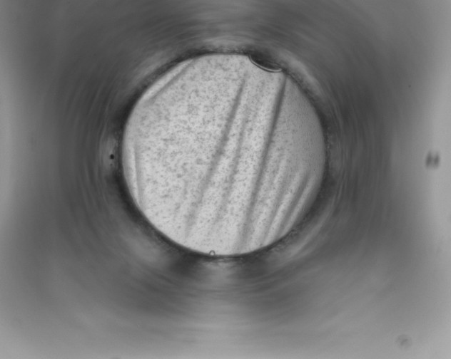 X0000090730071200708171955