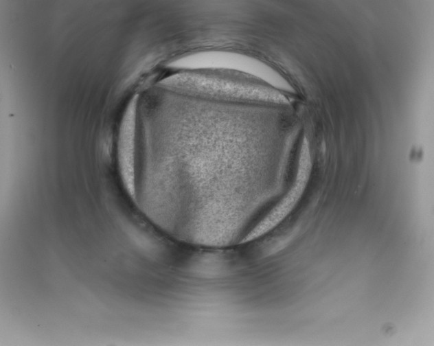 X0000090730072200708171955