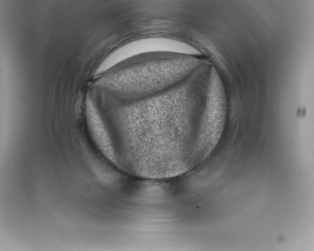 X0000090730073200708171955