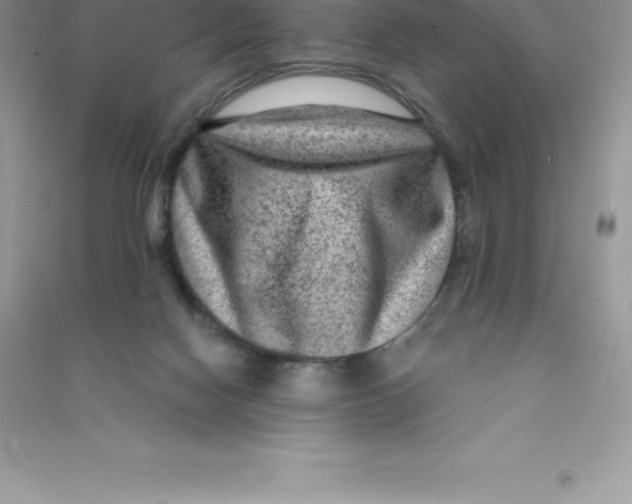 X0000090730074200708171955